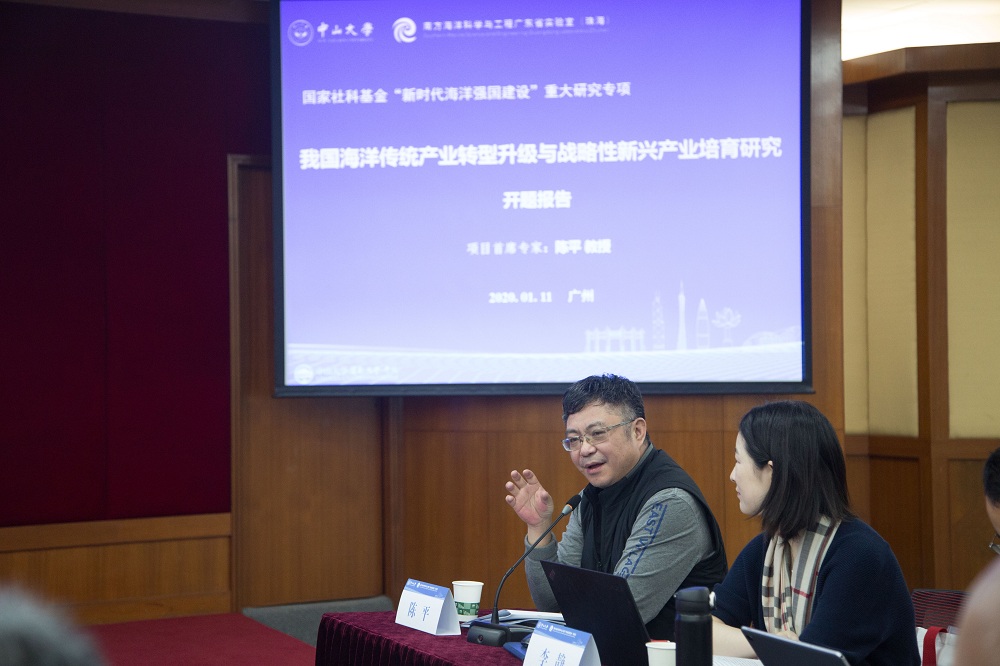 首席专家陈平教授发言