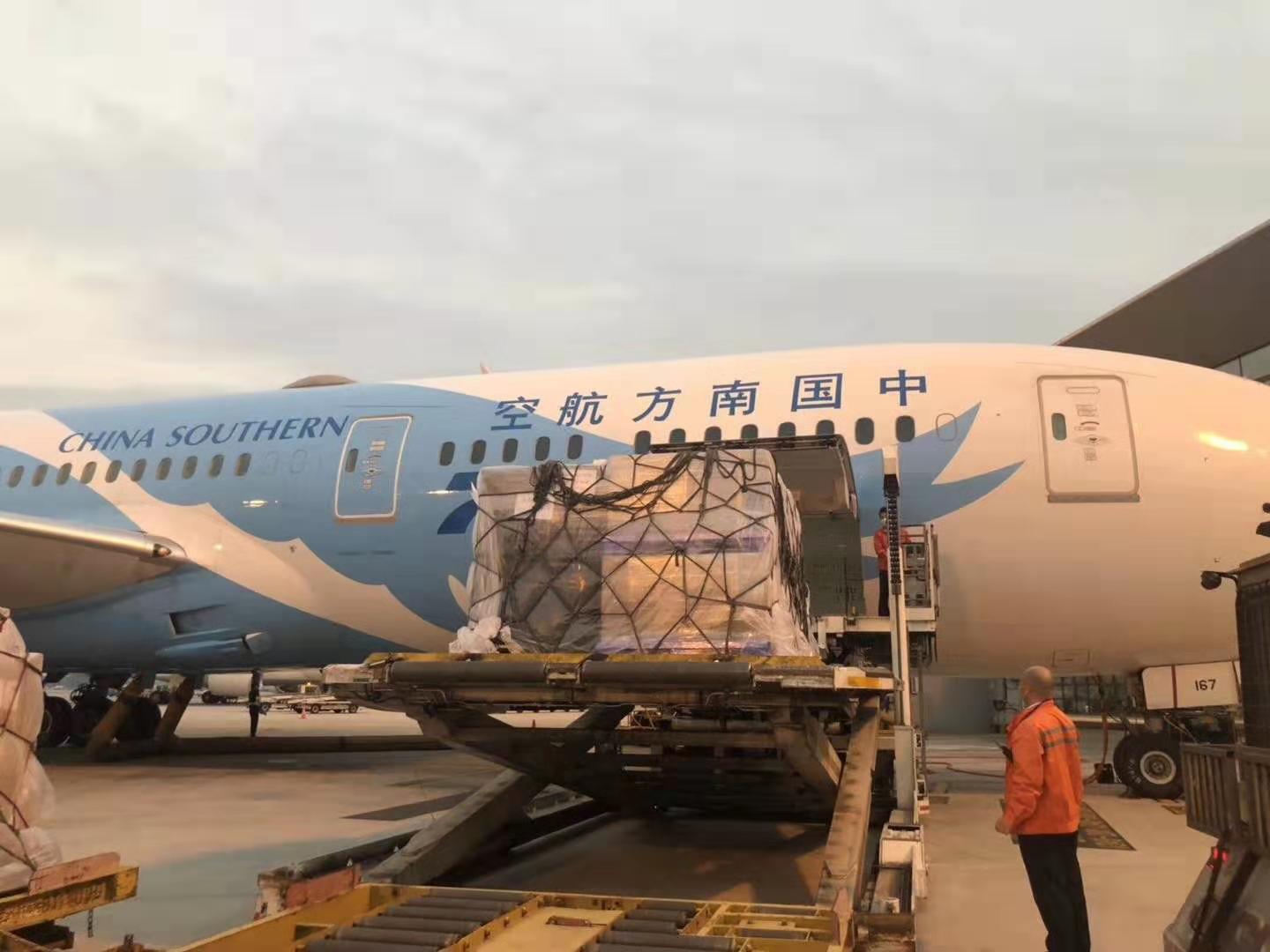 抗击疫情，中大岭南人在行动