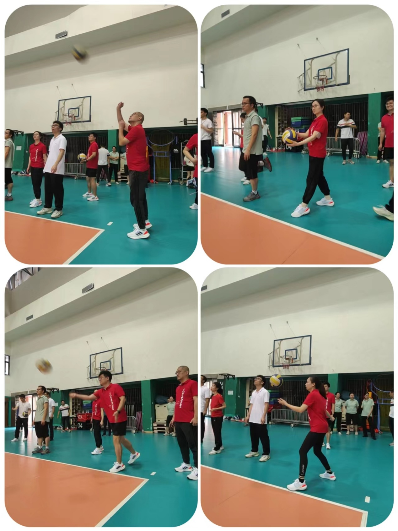 image-20231115104632-4