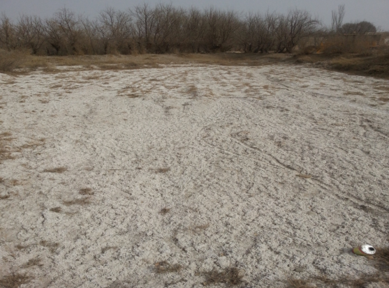 刘明康：做不一样的事—— Live Now, Unbounded!